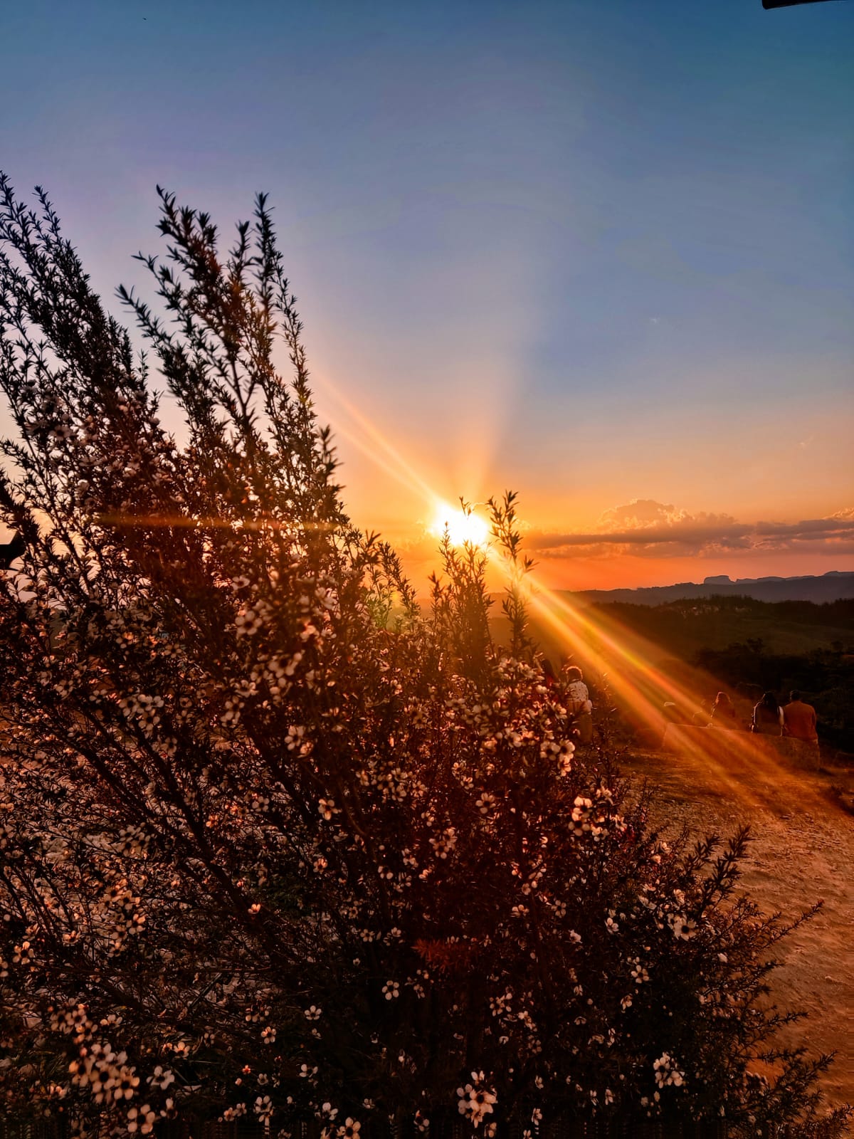 WhatsApp Image 2023-09-04 at 20.45.09.jpeg