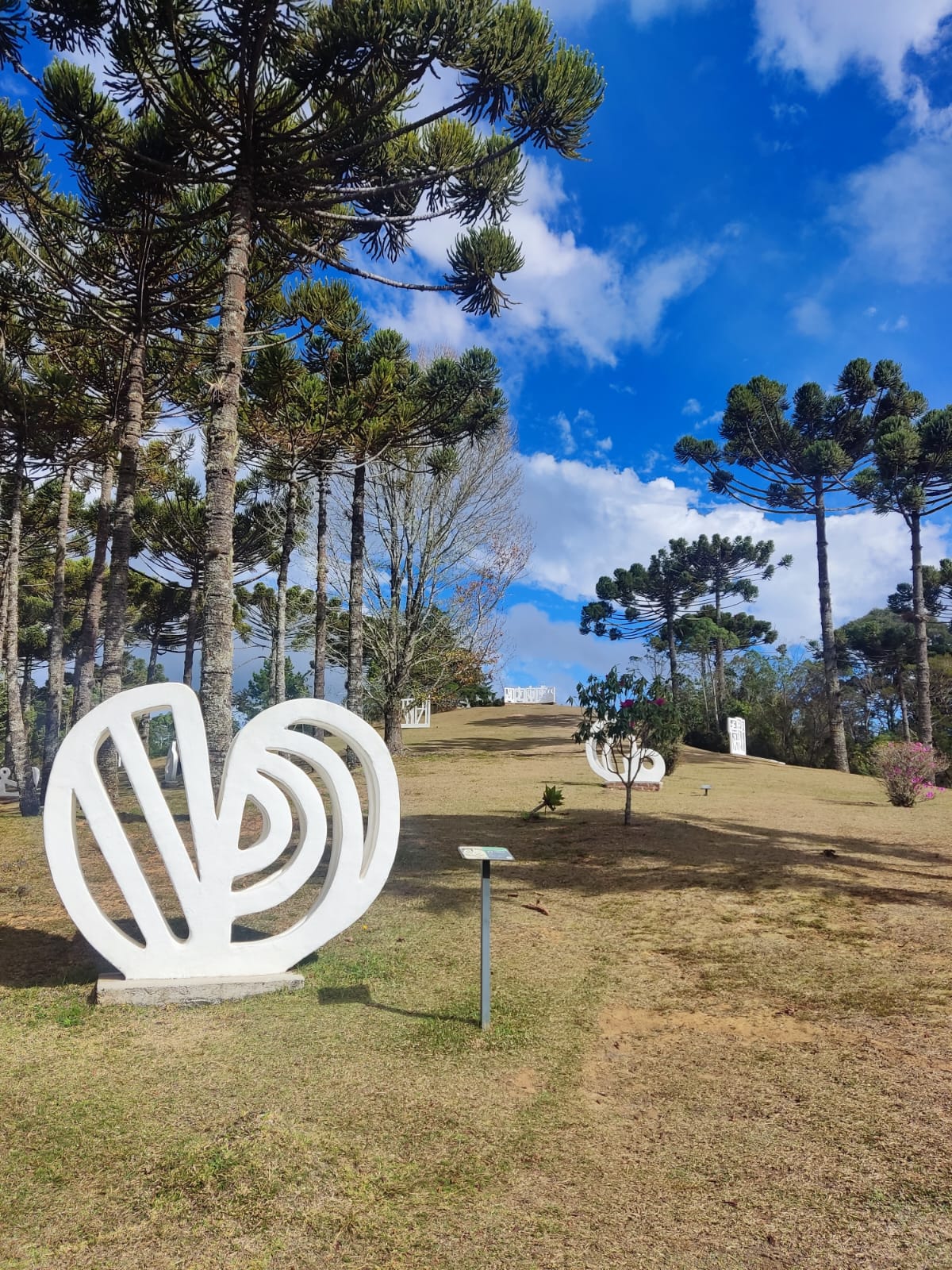 WhatsApp Image 2023-09-04 at 19.53.49 (1).jpeg