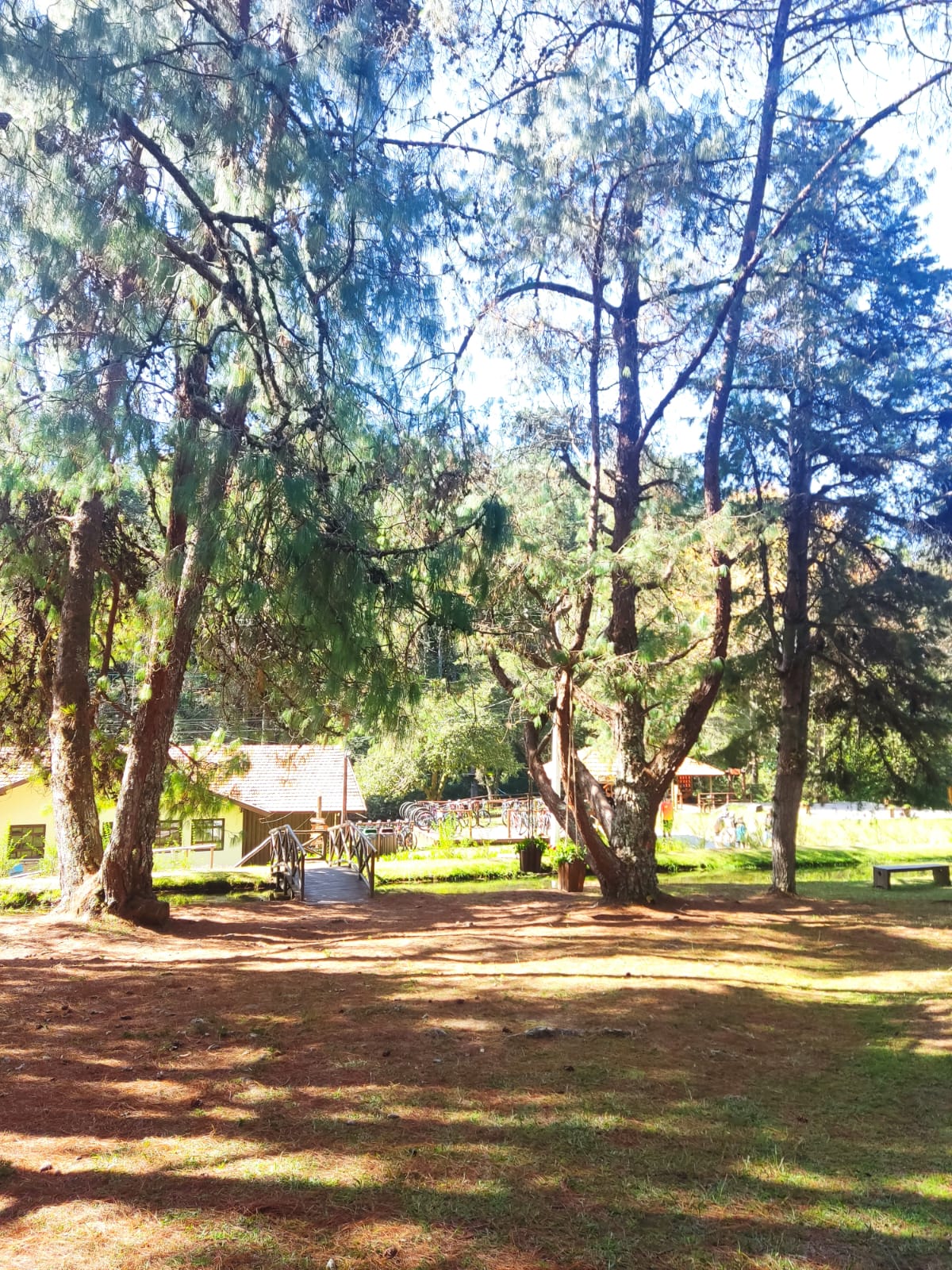 WhatsApp Image 2023-08-20 at 13.28.47.jpeg