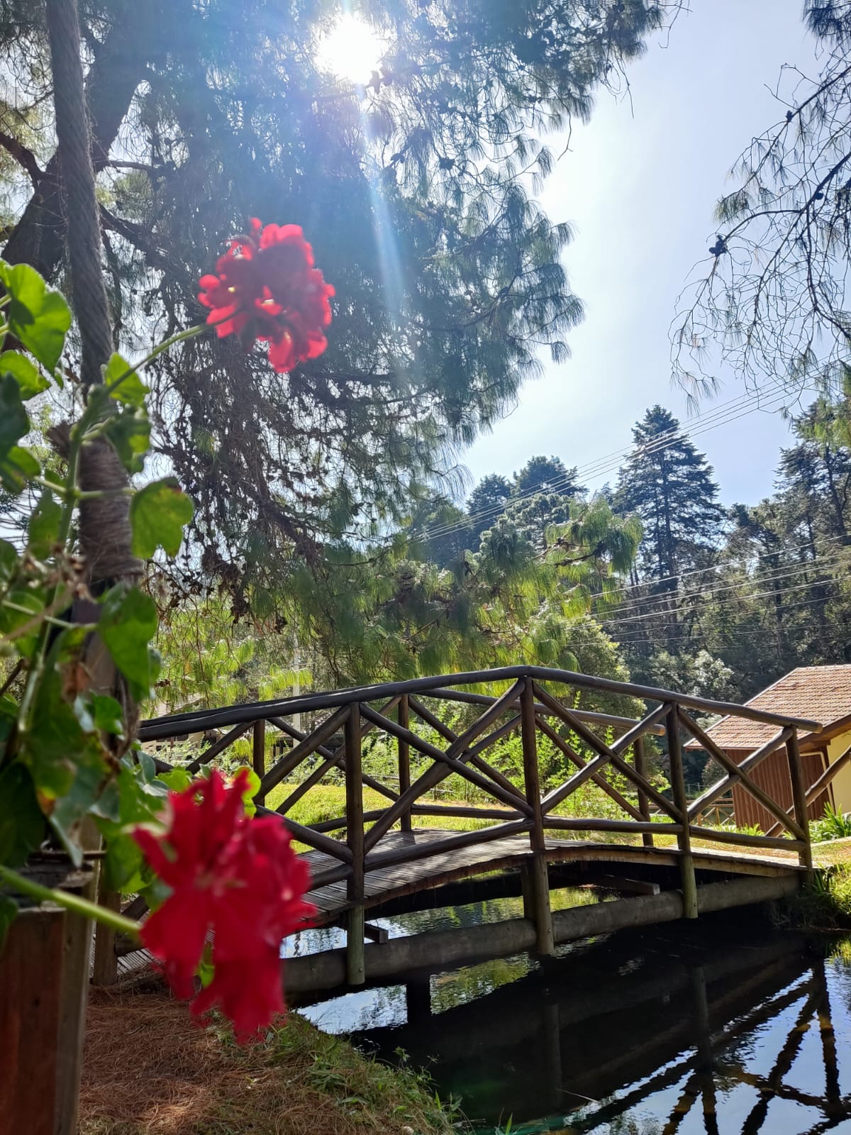 WhatsApp Image 2023-08-20 at 13.28.47 (1).jpeg