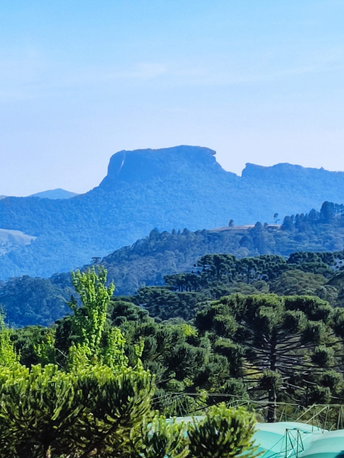 WhatsApp Image 2023-09-04 at 19.53.49.jpeg