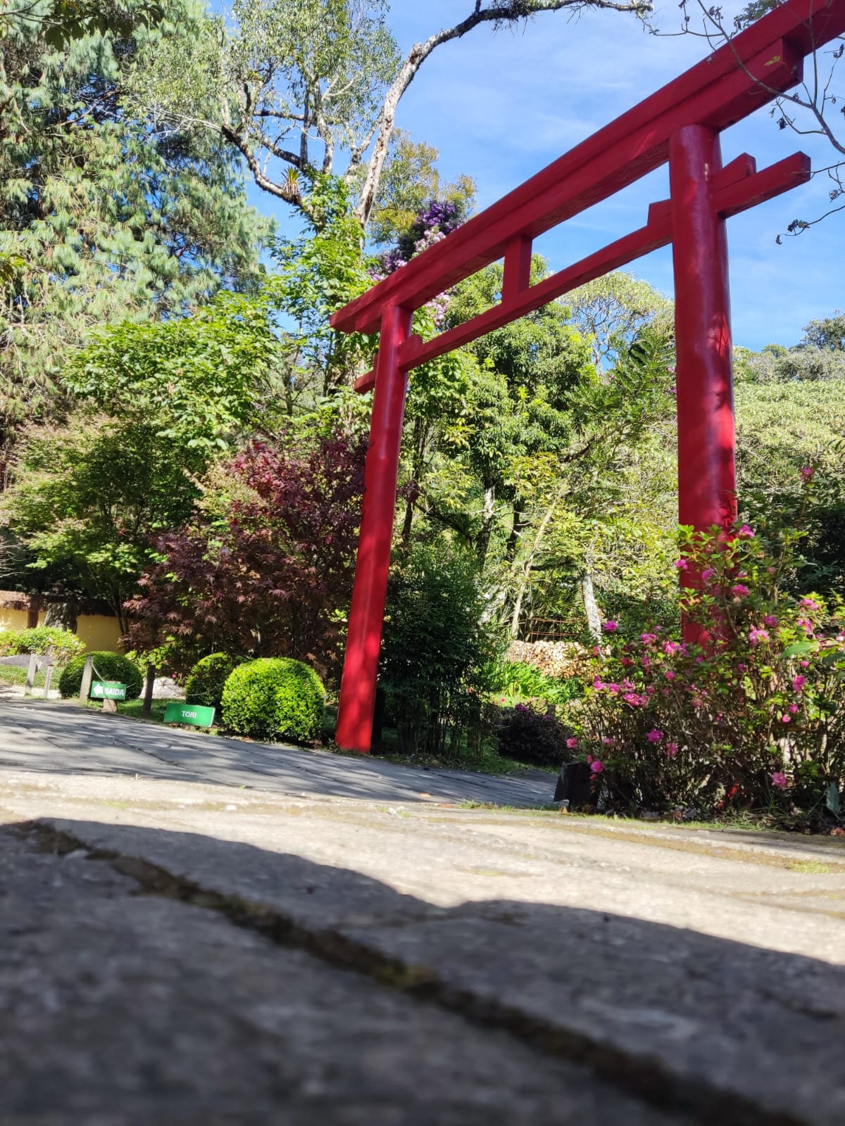 WhatsApp Image 2023-08-20 at 13.28.48.jpeg