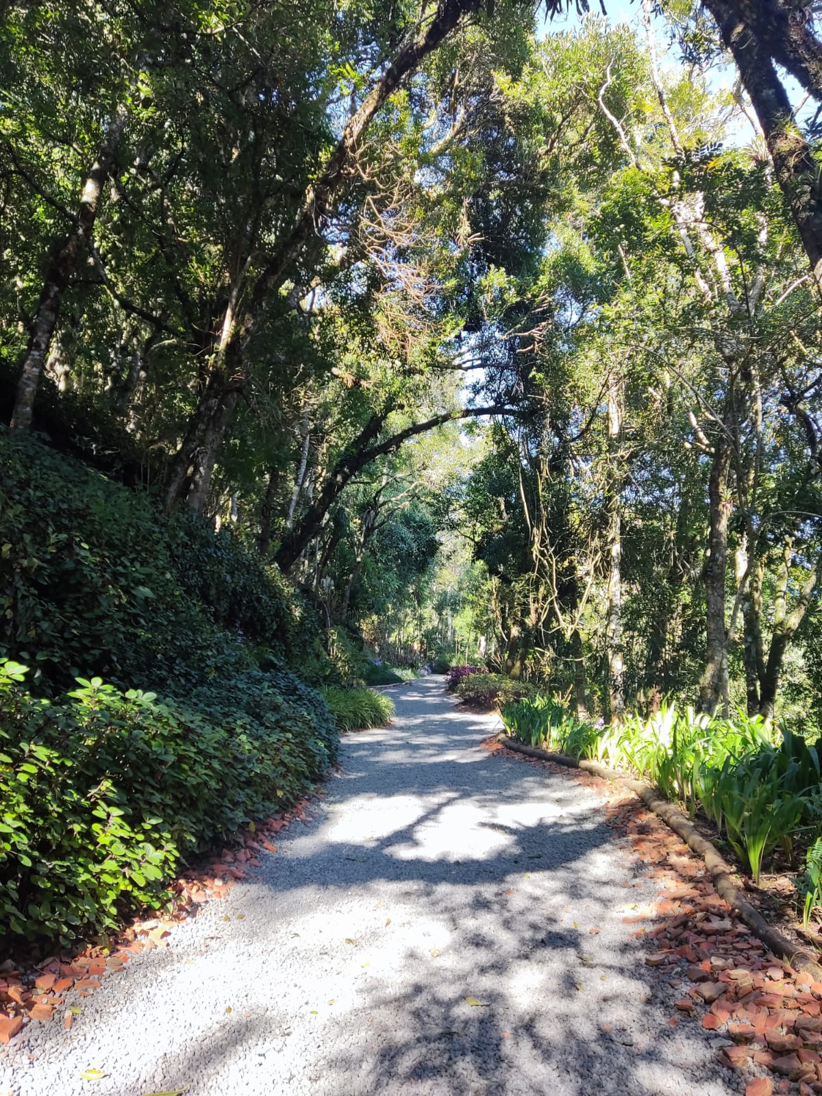 WhatsApp Image 2023-08-20 at 13.28.42 (1).jpeg