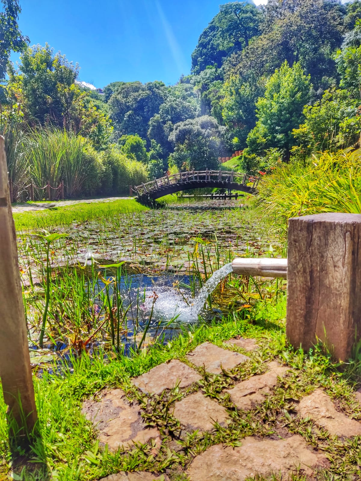 WhatsApp Image 2023-08-20 at 13.28.49 (1).jpeg