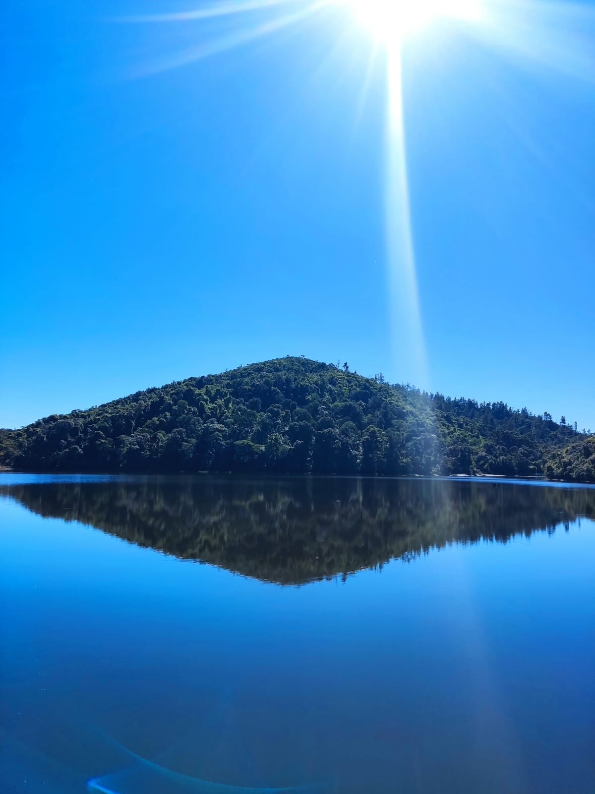 WhatsApp Image 2023-08-20 at 13.28.45.jpeg