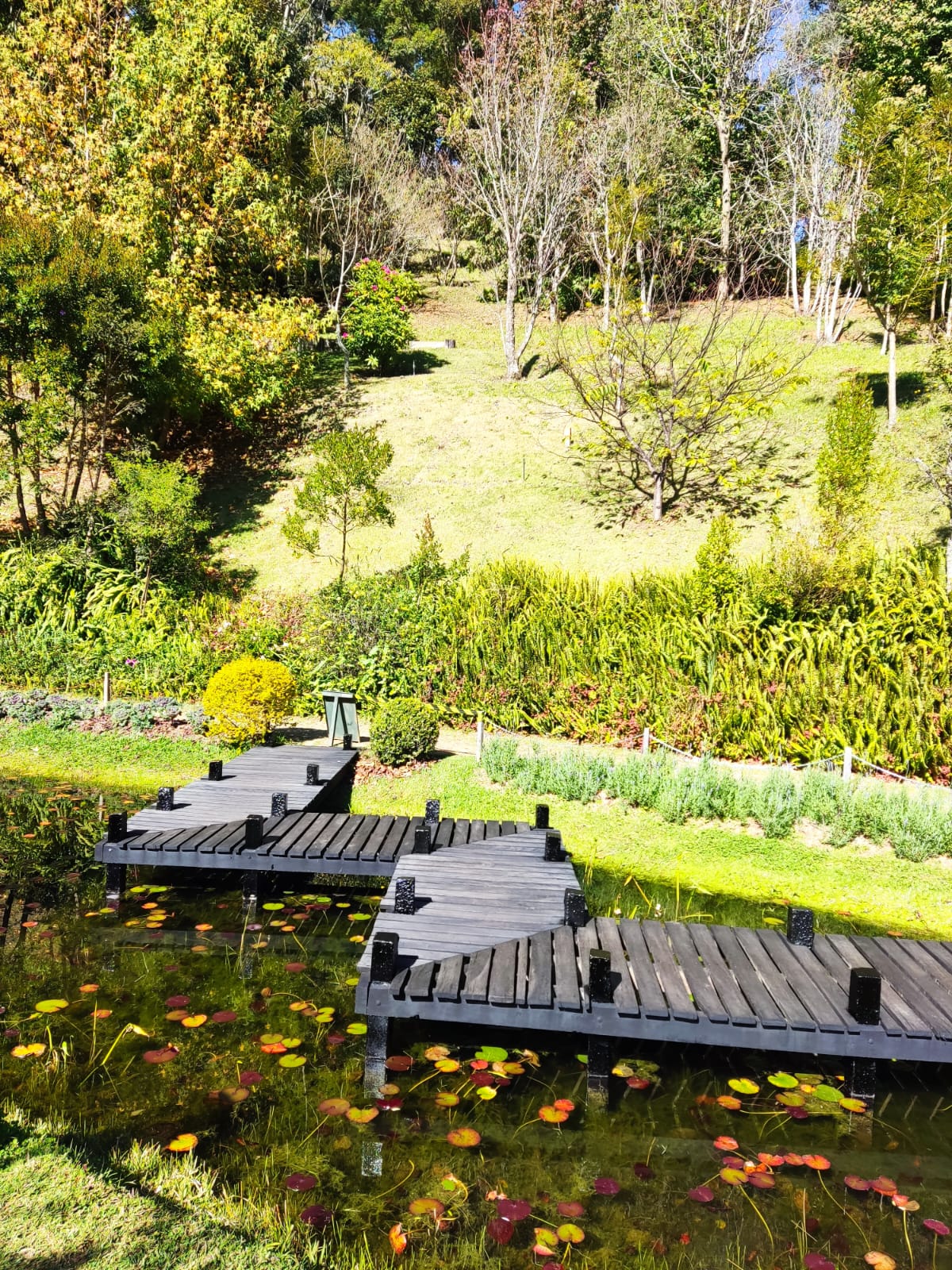 WhatsApp Image 2023-08-20 at 13.28.43 (1).jpeg