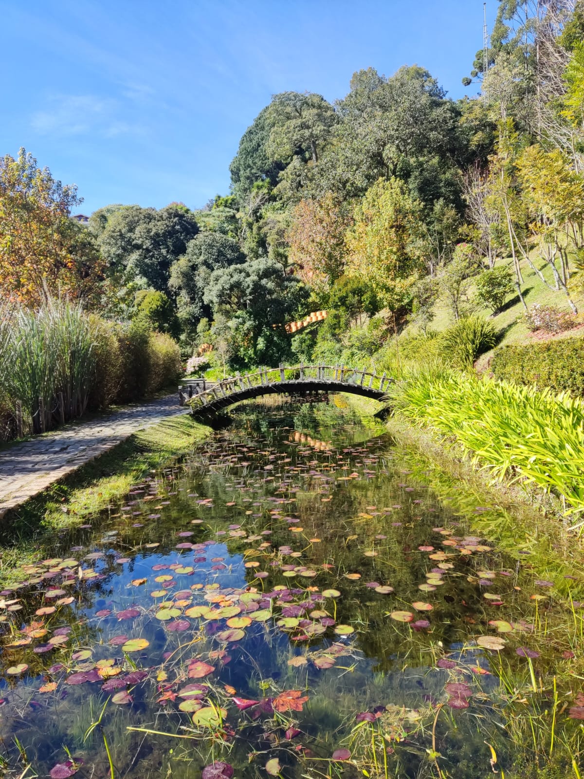 WhatsApp Image 2023-08-20 at 13.28.43.jpeg