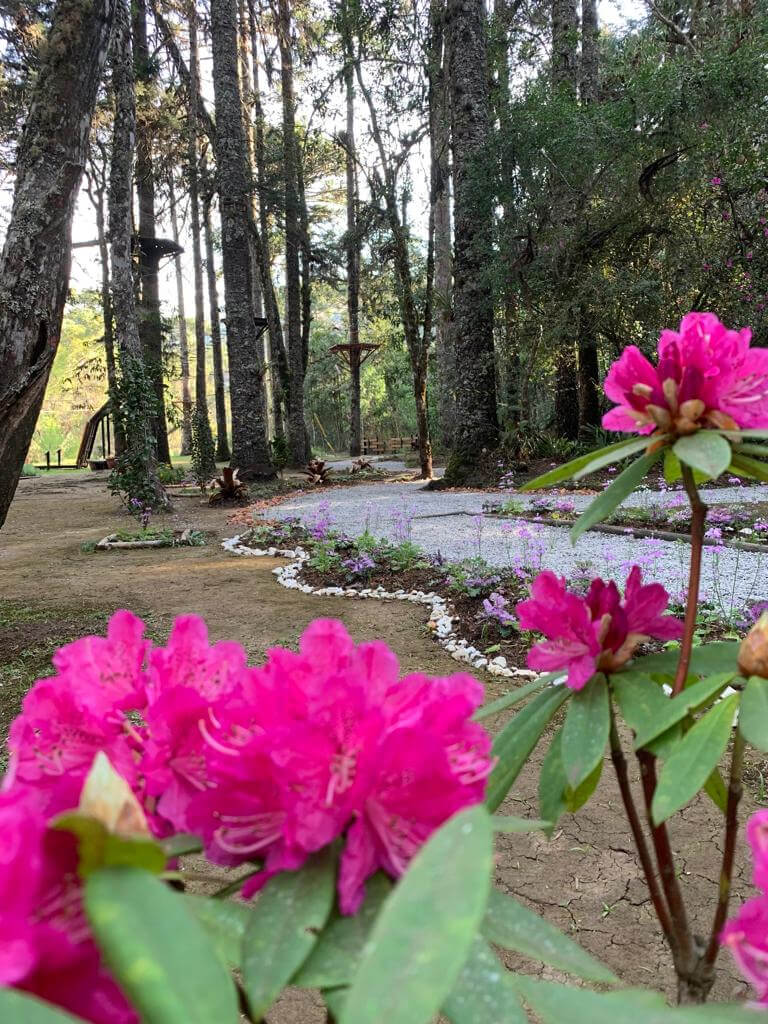 WhatsApp Image 2023-08-20 at 13.28.50.jpeg