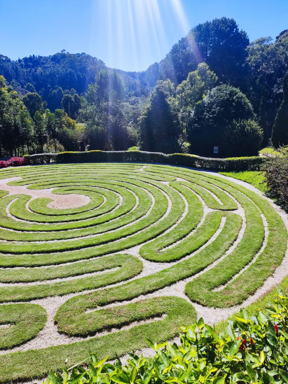 WhatsApp Image 2023-08-20 at 13.28.48 (1).jpeg