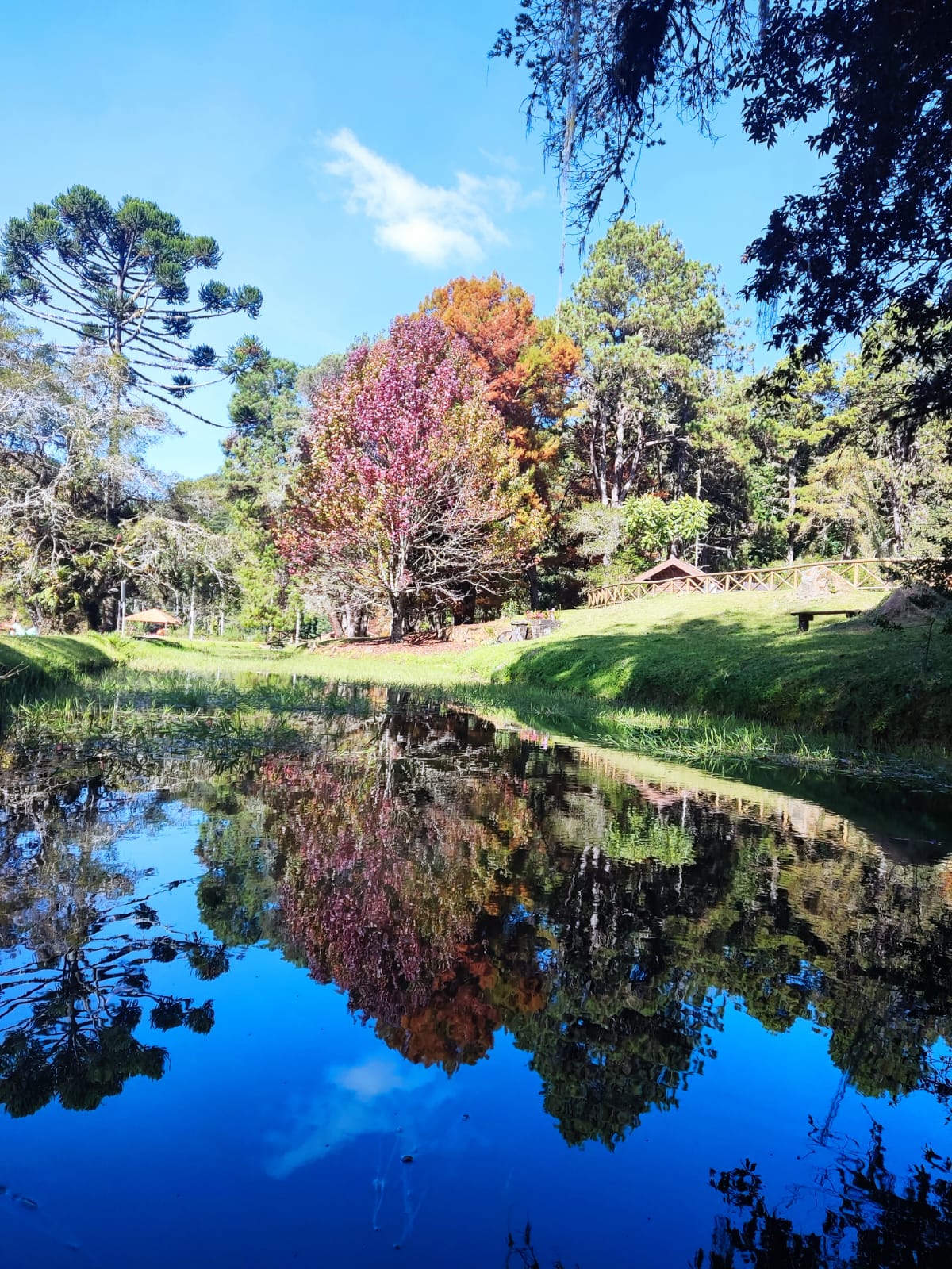 WhatsApp Image 2023-08-20 at 13.28.47 (2).jpeg