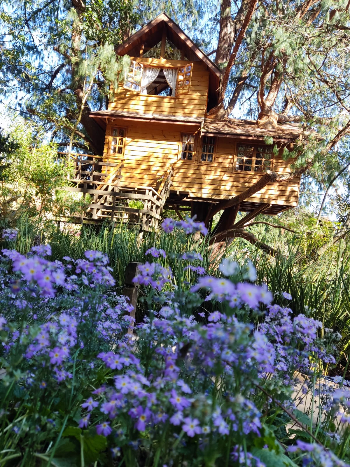 WhatsApp Image 2023-08-20 at 13.28.42.jpeg