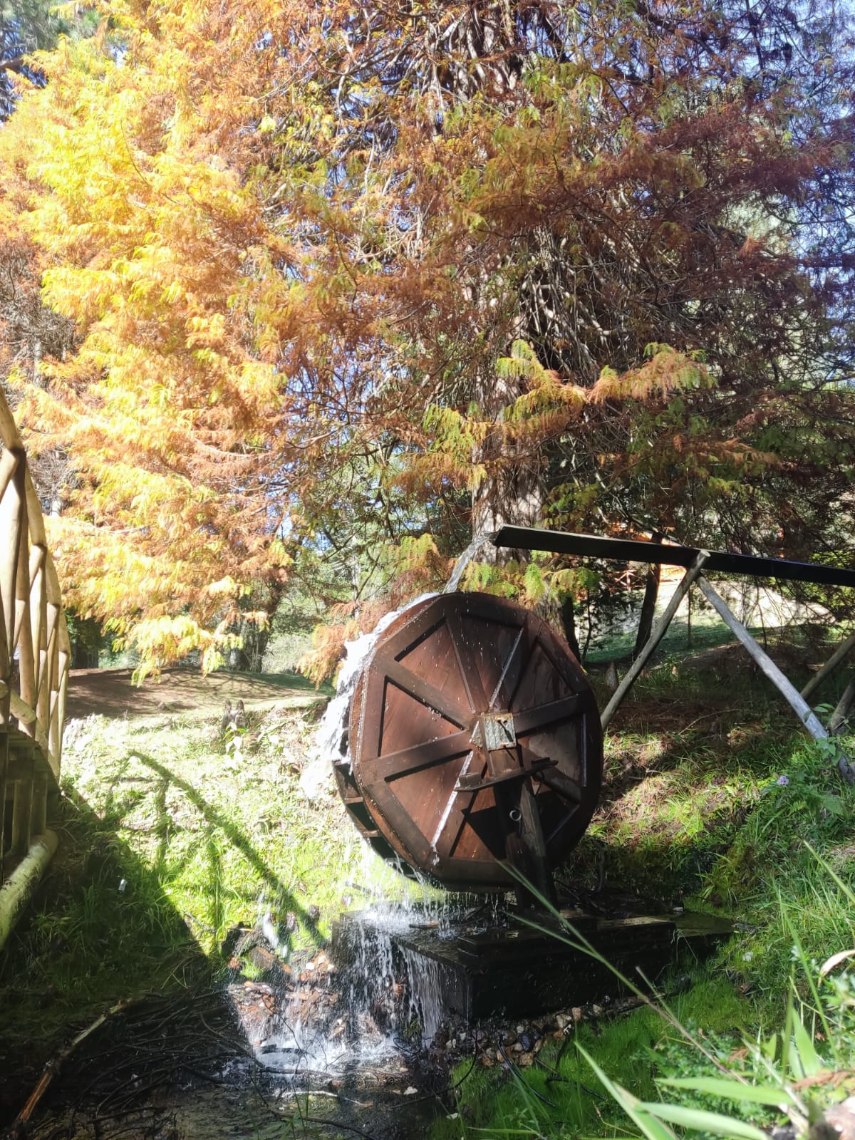 WhatsApp Image 2023-08-20 at 13.28.45 (1).jpeg